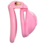 cage de chastete sissy s 45 x 34cm 3