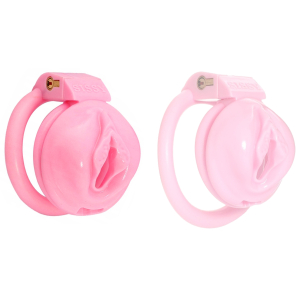 cage de chastete sissy s 45 x 34cm