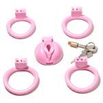 cage de chastete sissy s 45 x 34cm 4