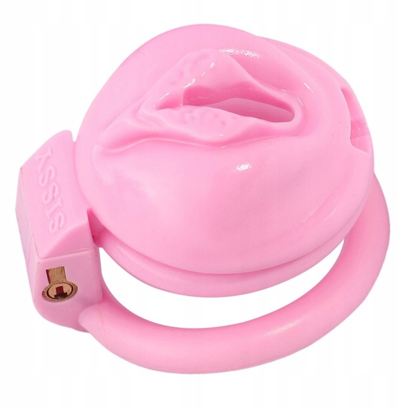 cage de chastete sissy s 45 x 34cm 6