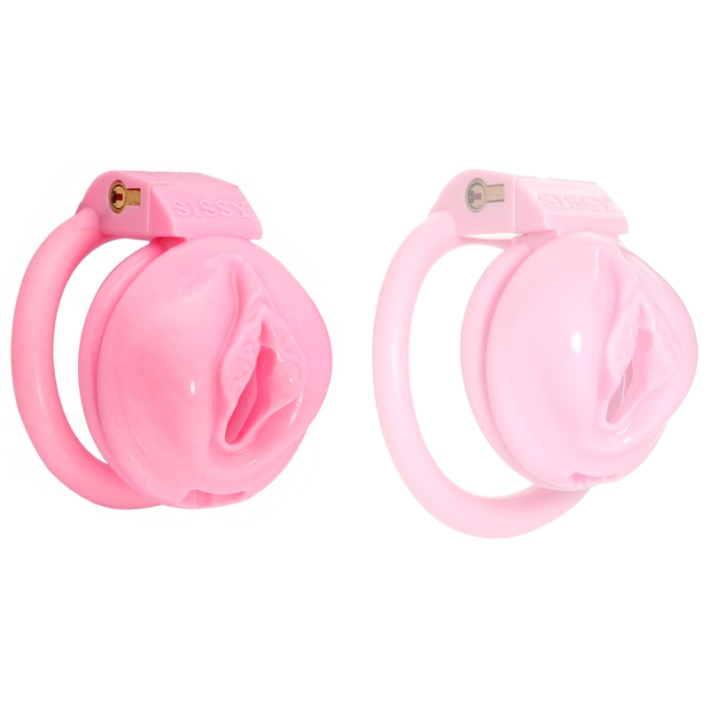 cage de chastete sissy s 45 x 34cm