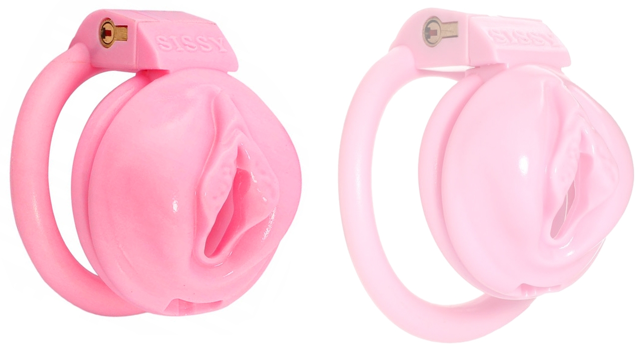 cage de chastete sissy s 45 x 34cm