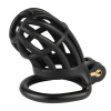 cage de chastete slutypig 8 x 33cm noire 1