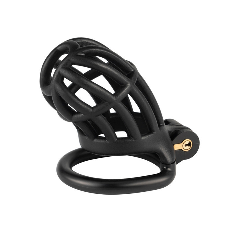 cage de chastete slutypig 8 x 33cm noire 1