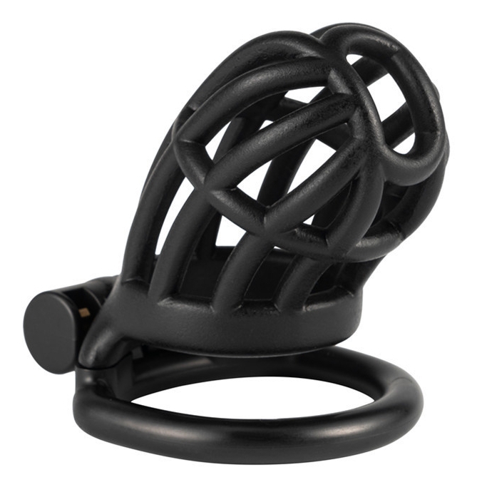 cage de chastete slutypig 8 x 33cm noire