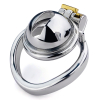cage de chastete smally 35 x 3cm