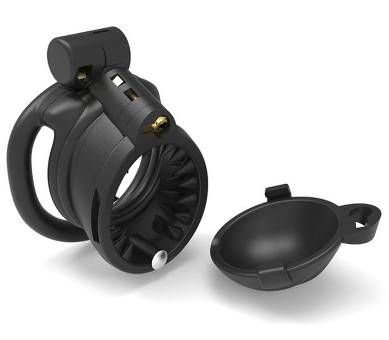 cage de chastete spike open 65 x 3cm