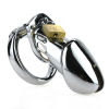 cage de chastete steel padlock 12 x 35cm 3
