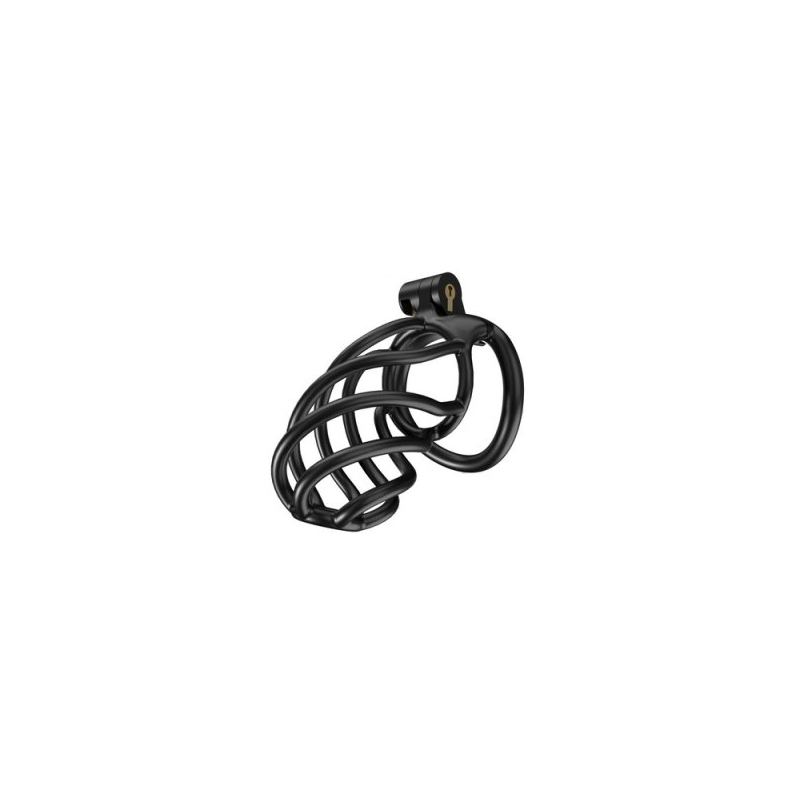 cage-de-chastete-tortille-l-95-x-34-cm-noire cage de chastete tortille l 95 x 34 cm noire