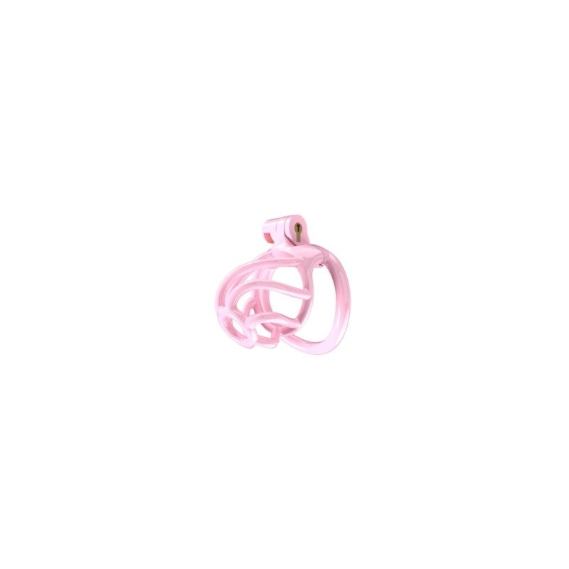 cage-de-chastete-tortille-s-6-x-34-cm-rose cage de chastete tortille s 6 x 34 cm rose