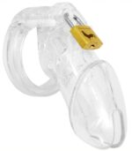 cage de chastete transparente 4