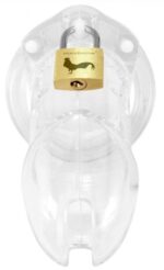 cage de chastete transparente 5