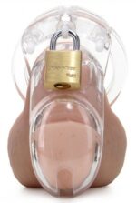 cage de chastete transparente 6