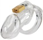 cage de chastete transparente 7