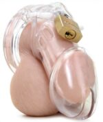 cage de chastete transparente 8