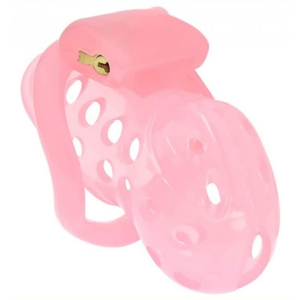 cage de chastete xguard 10 x 3cm rose