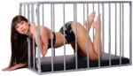 cage metal bdsm demontable 21 scaled