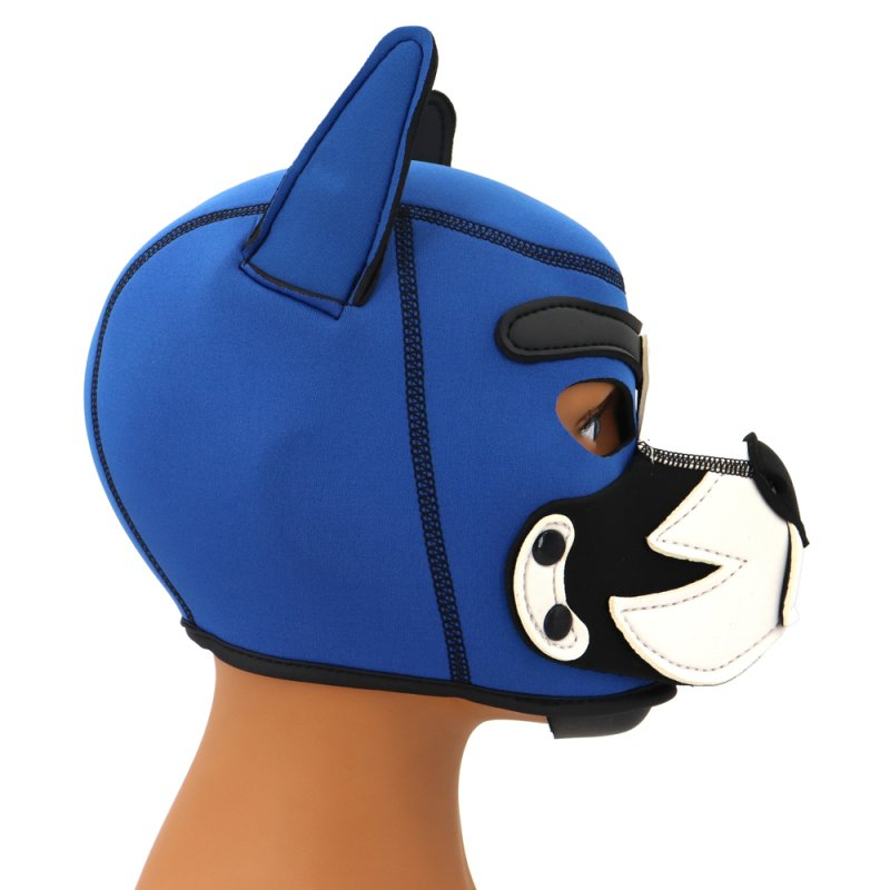 cagoule puppy fox neoprene bleu blanc 2