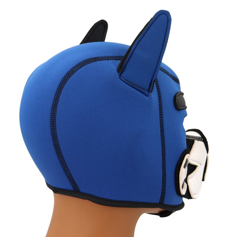 cagoule puppy fox neoprene bleu blanc 3