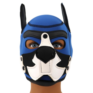 cagoule puppy fox neoprene bleu blanc