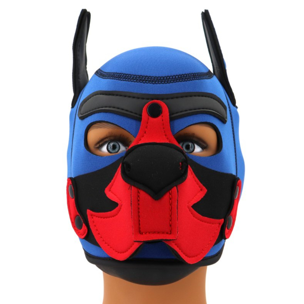 cagoule puppy fox neoprene bleu rouge 2