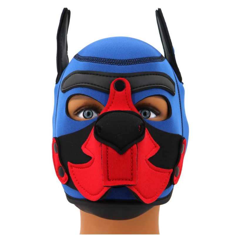 cagoule puppy fox neoprene bleu rouge 2