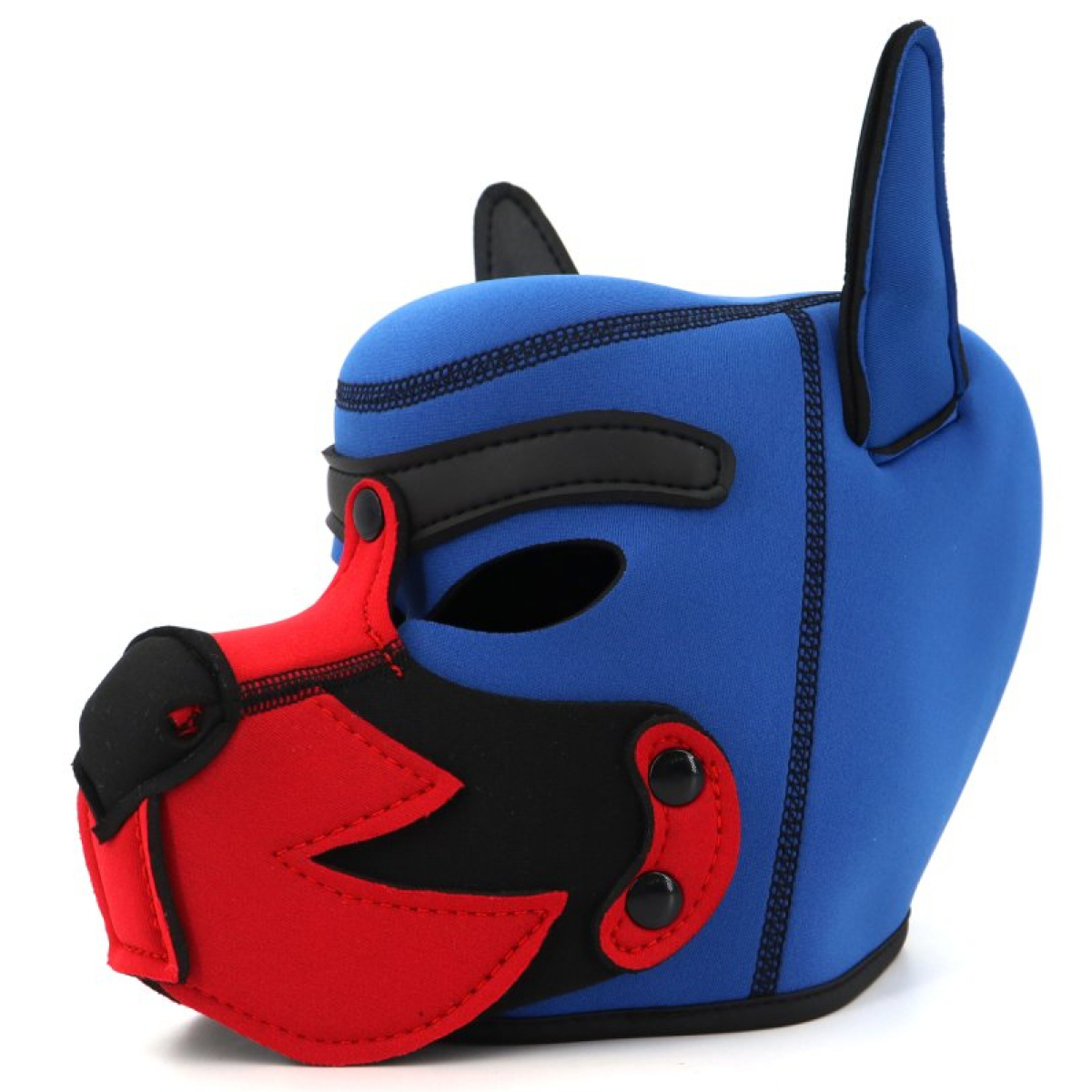 cagoule puppy fox neoprene bleu rouge 3