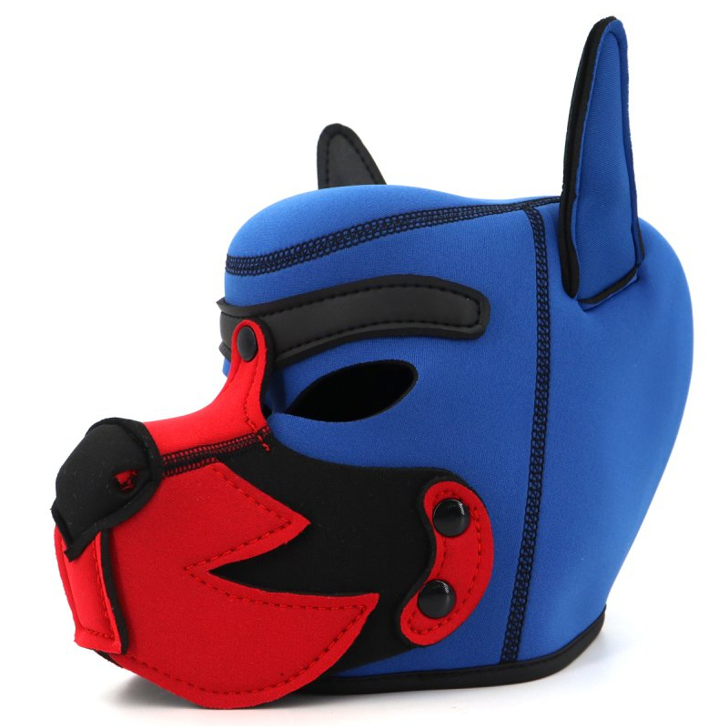 cagoule puppy fox neoprene bleu rouge 3