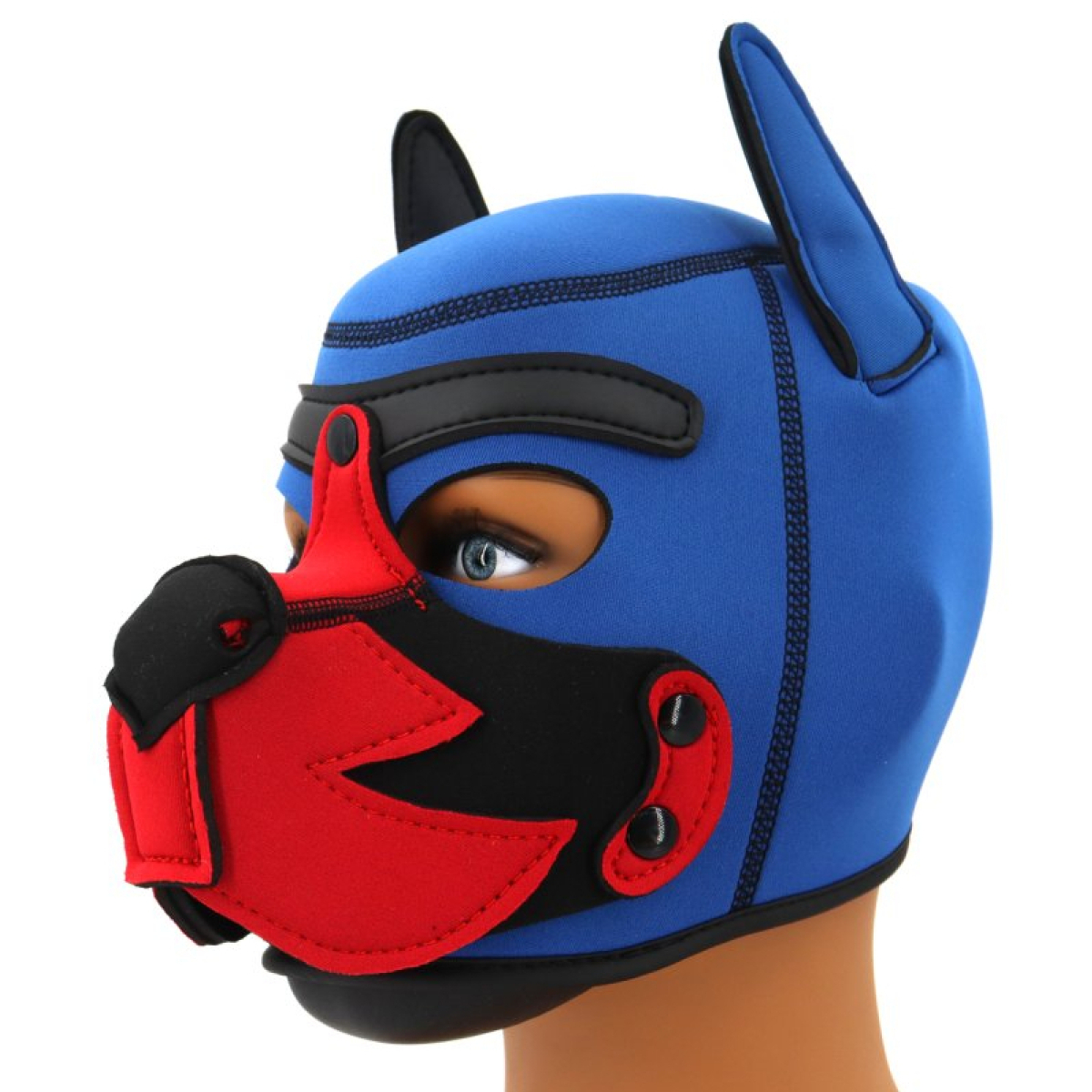cagoule puppy fox neoprene bleu rouge 4