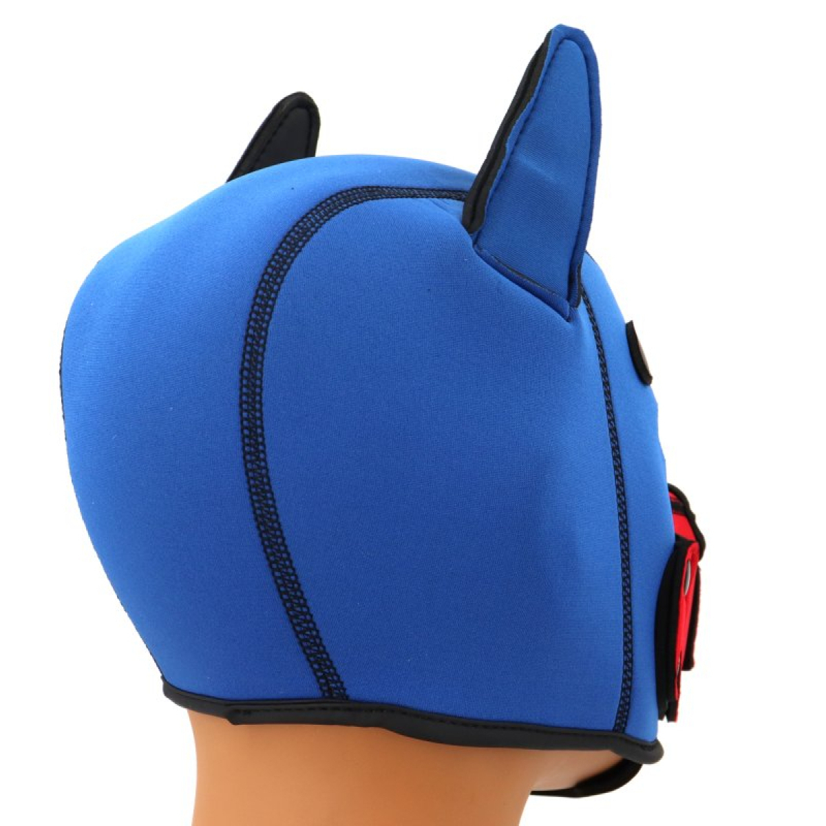 cagoule puppy fox neoprene bleu rouge 7