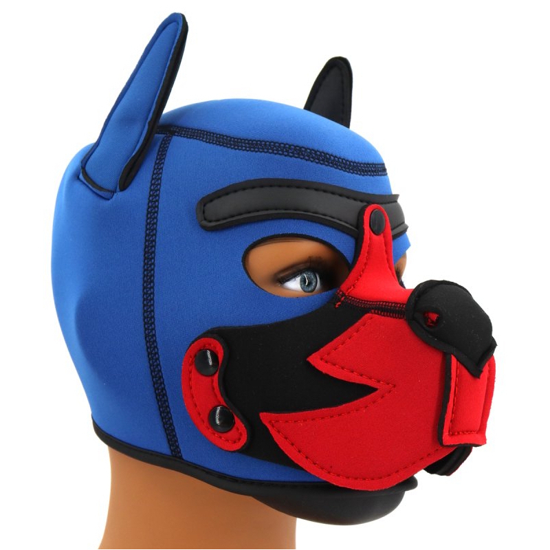 cagoule puppy fox neoprene bleu rouge
