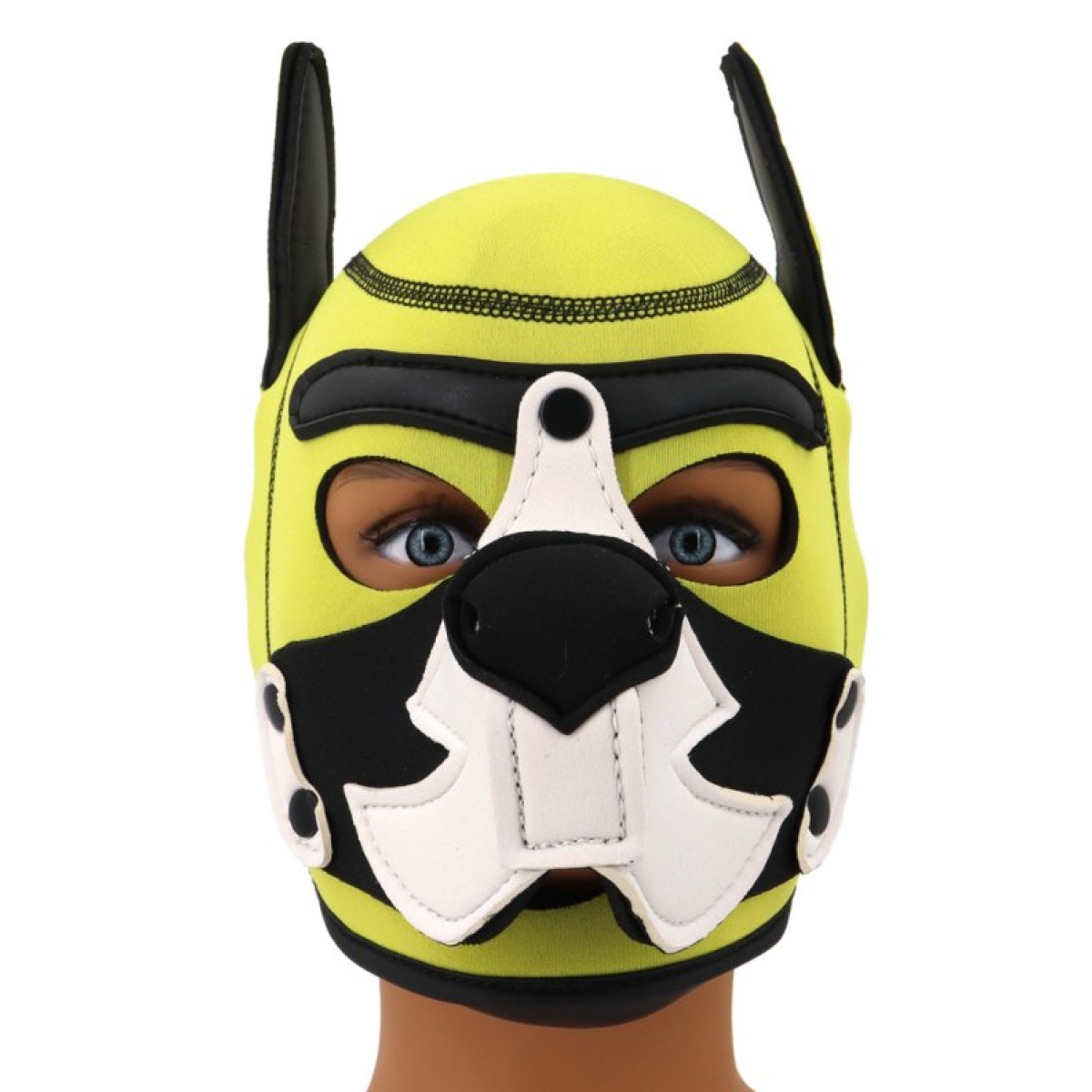 cagoule puppy fox neoprene jaune blanc 2