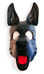 cagoule puppy hood noire 1
