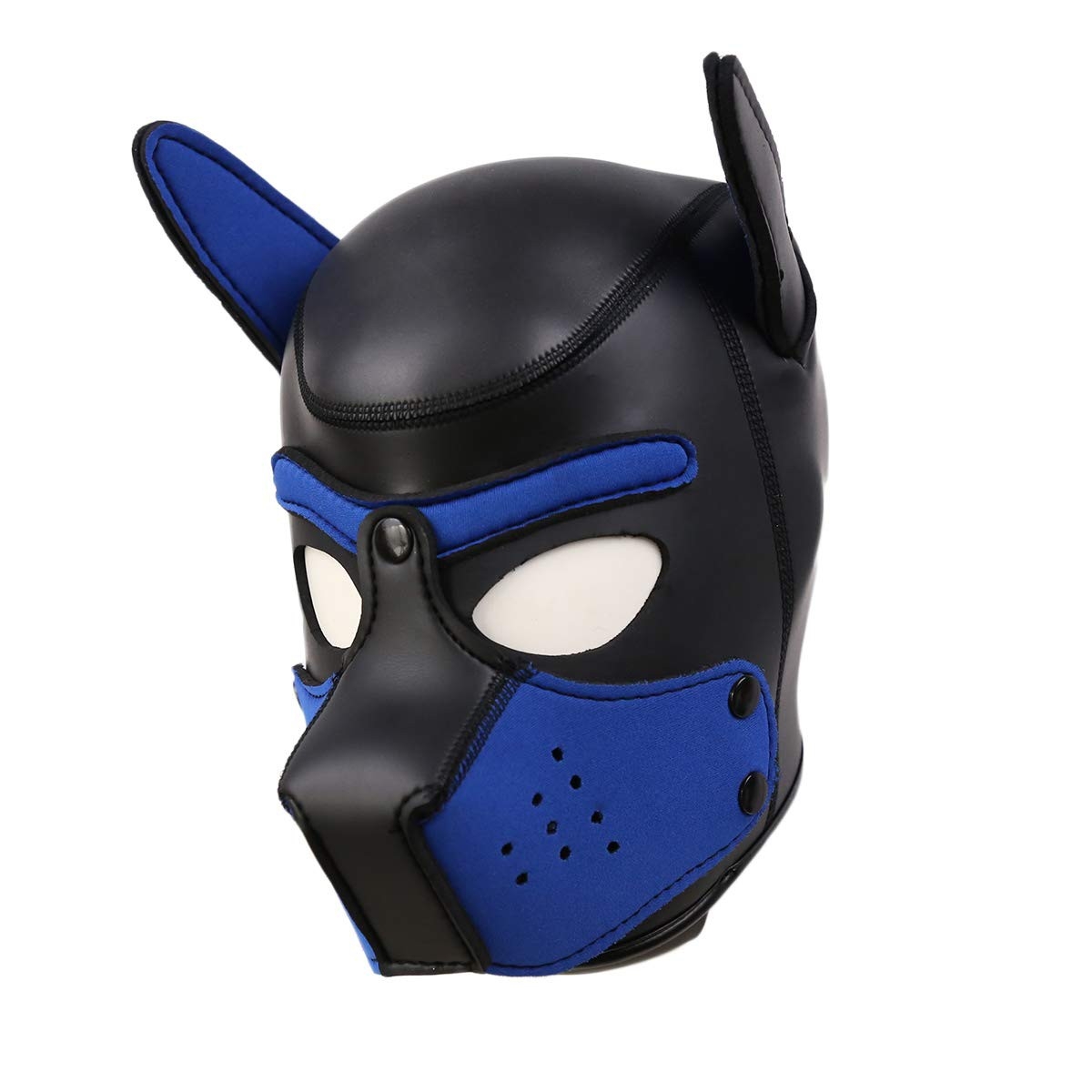 cagoule puppy neoprene bleu 1