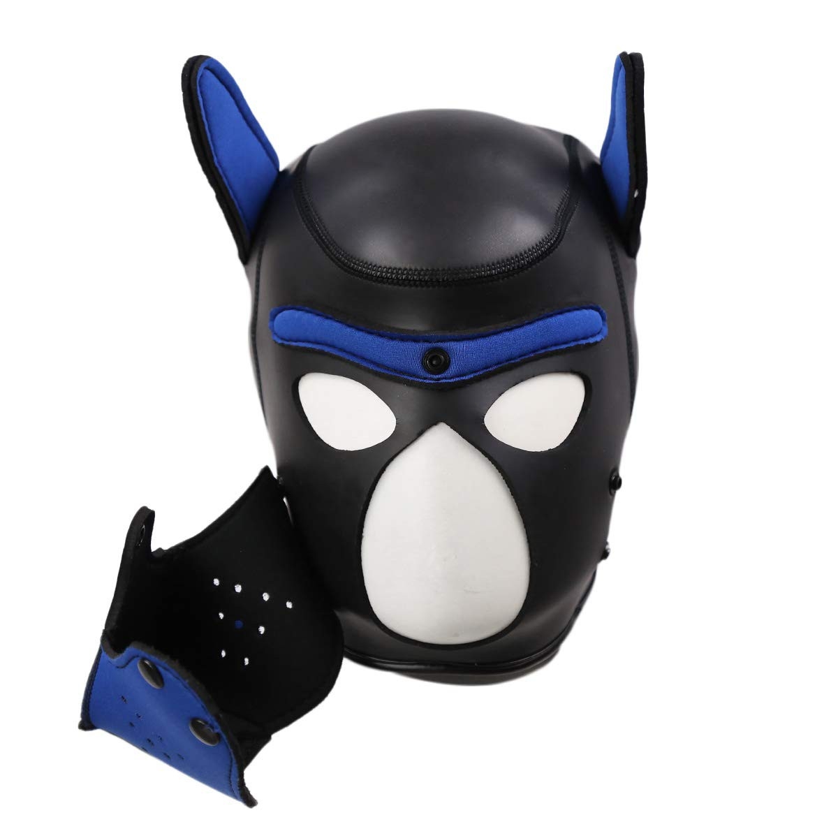 cagoule puppy neoprene bleu 2