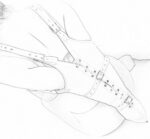 camisole strict leather fastens 4