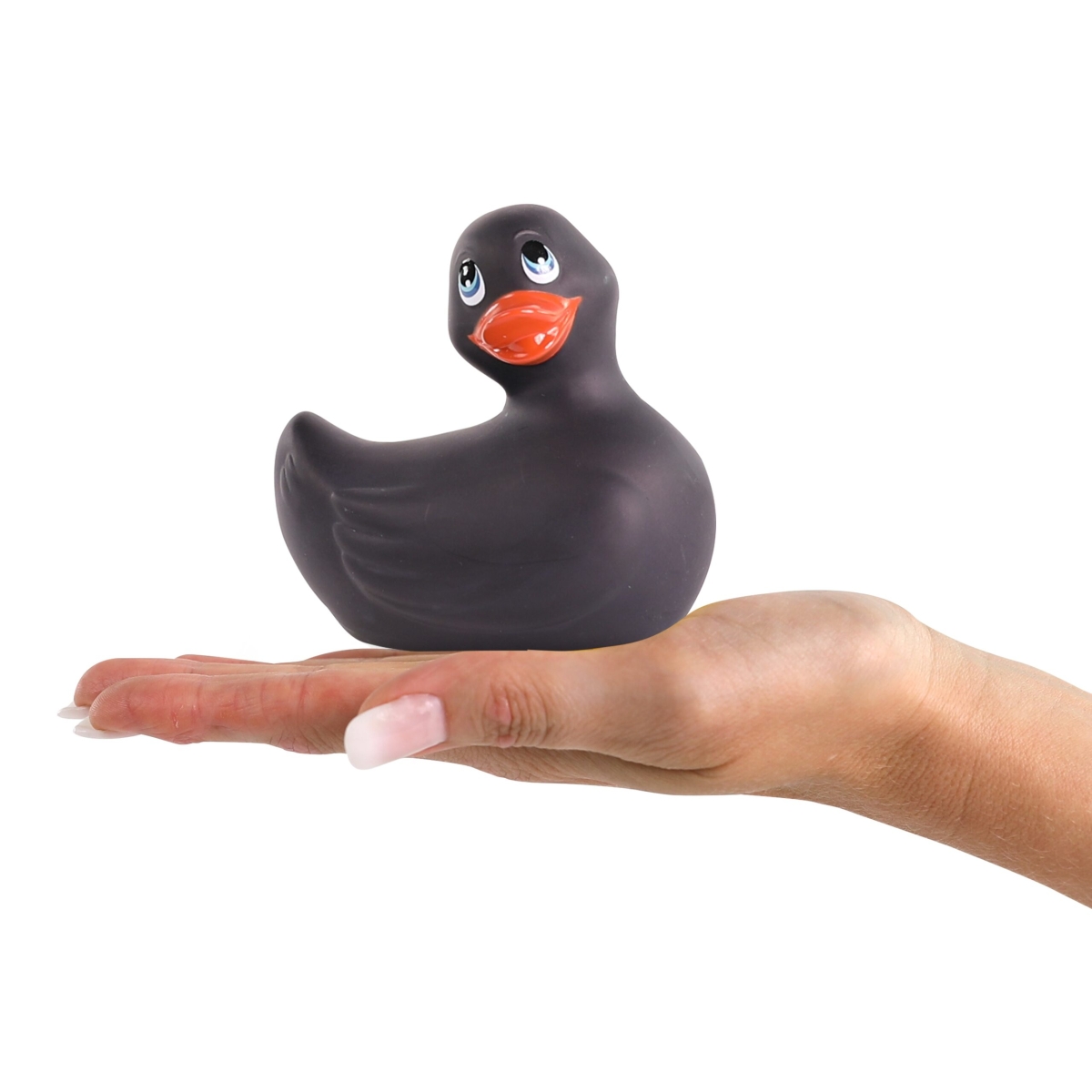 canard vibrant classic noir 2 scaled