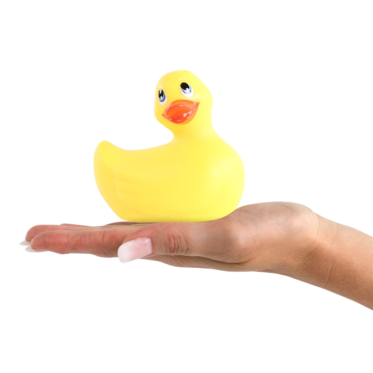 canard vibrant jaune 2 scaled