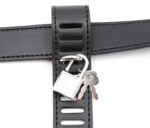 ceinture de chastete panty belt simili 3