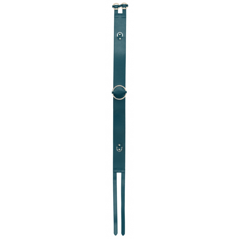ceinture restraint belt bleue 2