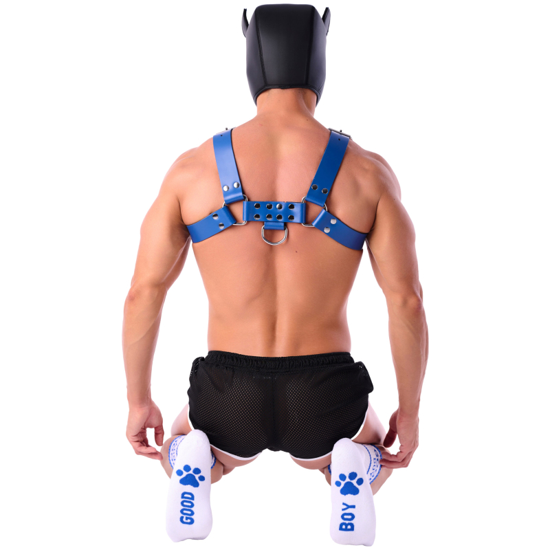 chaussettes good boy blanc bleu 5 scaled