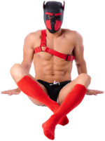 chaussettes hautes colors sneakxx rouges 4 scaled