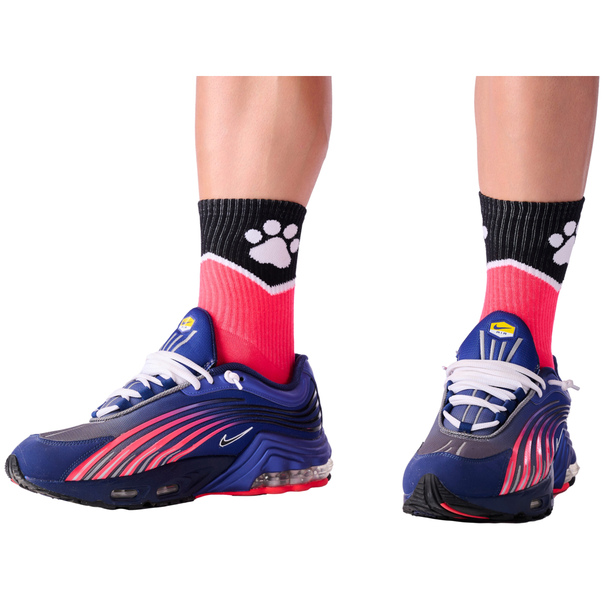 chaussettes paw kinky puppy roses 7 scaled