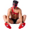 chaussettes paw kinky puppy rouges 4 scaled