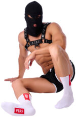 chaussettes stripe vers sneakxx 1 scaled