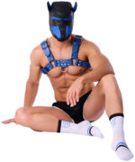 chaussettes suck university sneakxx blanc bleu 1 scaled