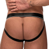 cock pit cock ring jock 1