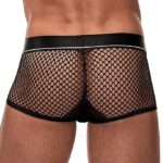 cock pit mini cock ring short 1