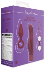 coffret de sextoys pour elle darkcherry 3 accessoires 1