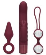 coffret de sextoys pour elle darkcherry 3 accessoires